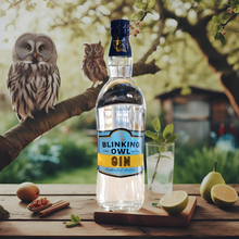 Load image into Gallery viewer, Blinking Owl Distillery Gin 750ml
